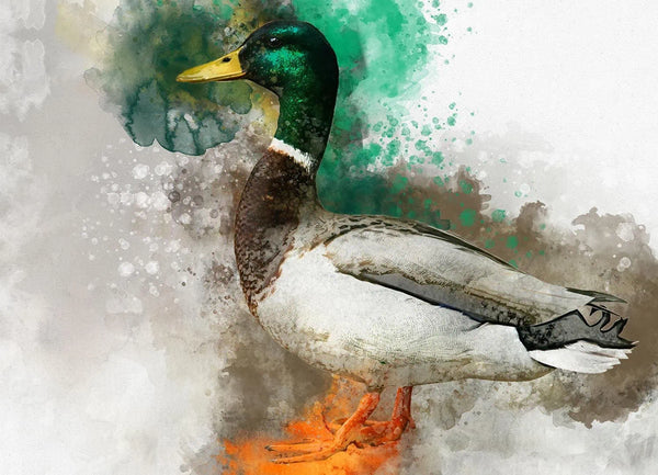 Green Duck Canvas