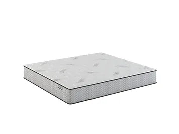 Encore Firm Mattress