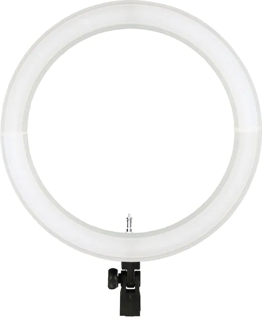 19" Ring Light