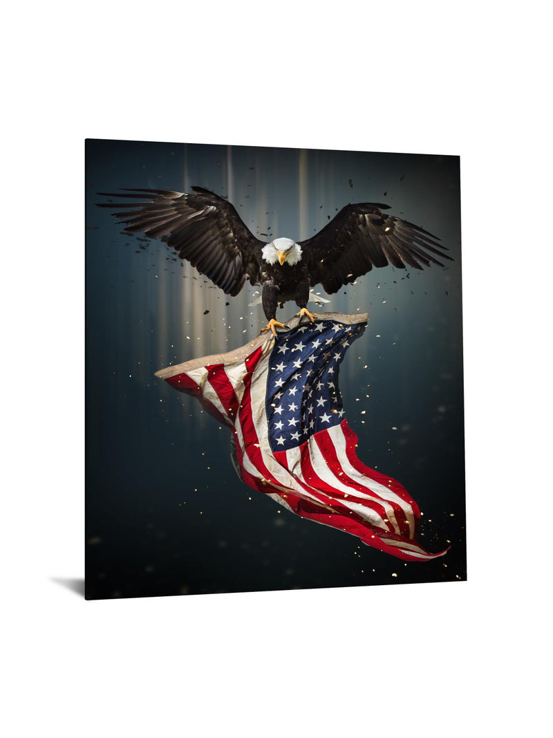Temp Glass w/Foil – Eagle Flag